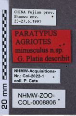 Etikette zu Agriotes minusculus (NHMW-ZOO-COL-0008806)